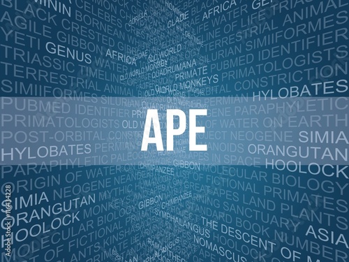 ape photo