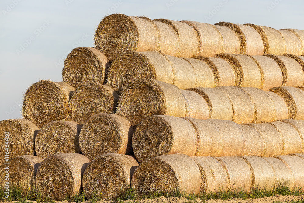 stack of straw in the field