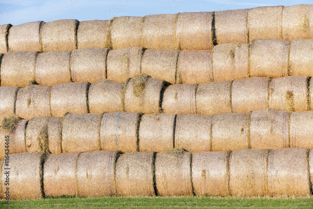 stack of straw in the field