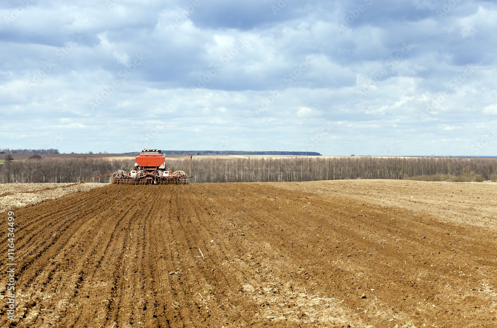 Fototapeta premium Planting of cereal crops