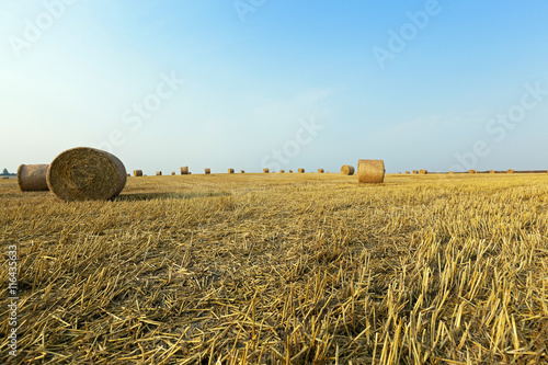 stack of straw in the field