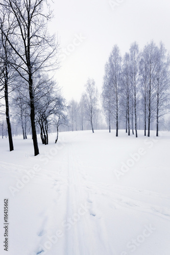 winter road , track. © rsooll