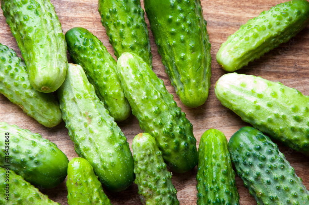The image of fresh cucumber on a wooden table The image of fresh cucumber on a wooden table