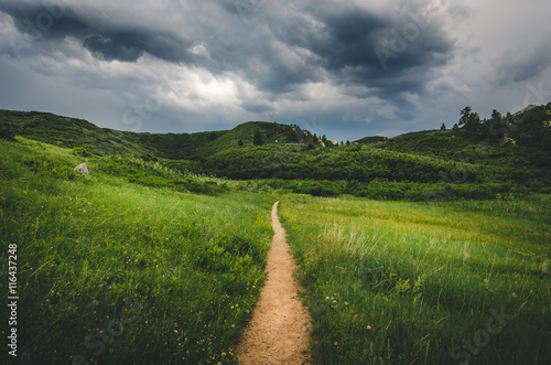 Landscape of a trail leading into field with hills before a storm.