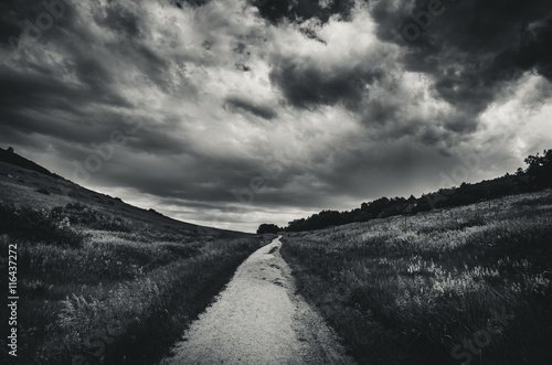 Black and white landscape of a road leading into a grassy field before a storm. photo
