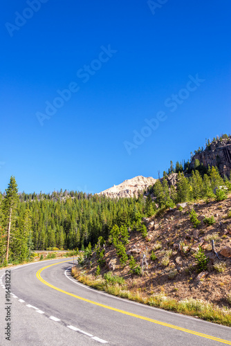 Highway curving through Shoshone National Forest in Wyoming, USA