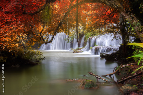 Palatha Waterfall Umphang Tak ,Thailand. Change color leaf concept in autumn scene.