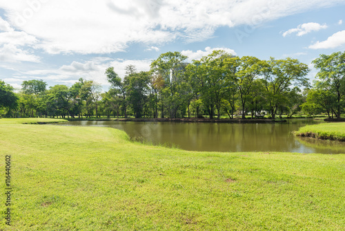 Fototapeta Naklejka Na Ścianę i Meble -  Green grass field in park at city center with sunlight in the morning