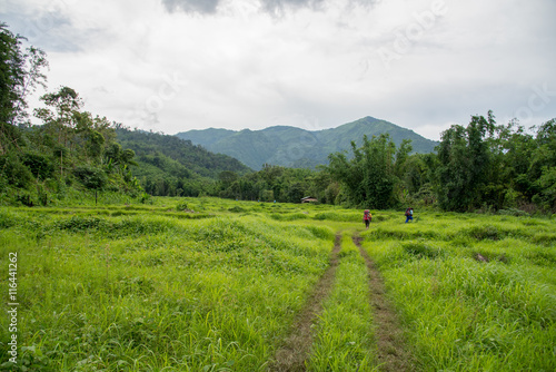 Man Traveler with big backpack mountaineering Travel to the Pre To Lo Su or Pi Tu Kro waterfall heart-shaped waterfall Umphang Tak ,Thailand. photo