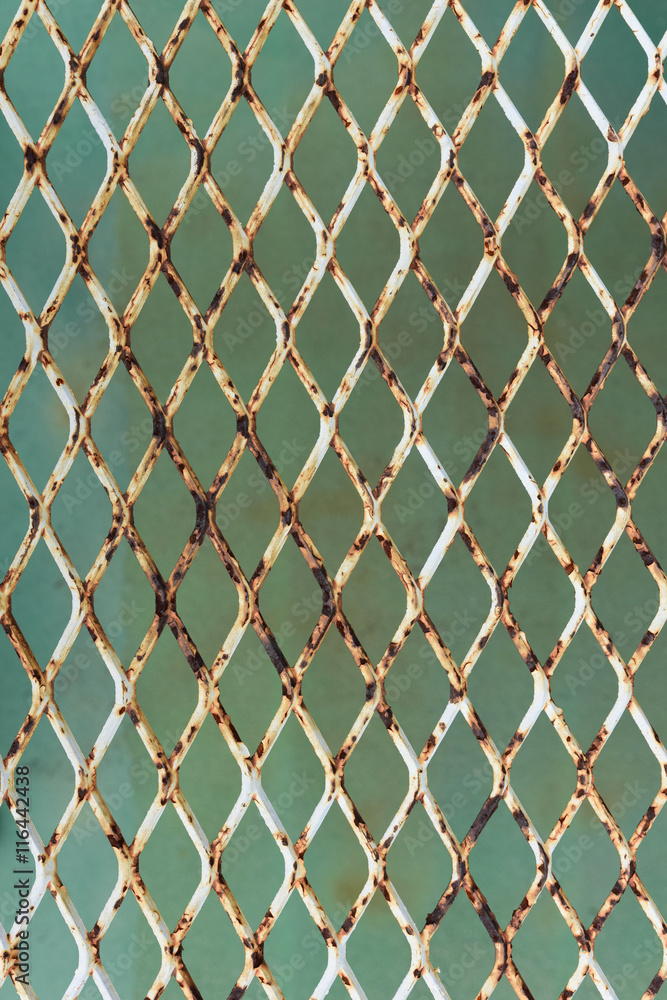 Fototapeta premium Rusty steel wire mesh
