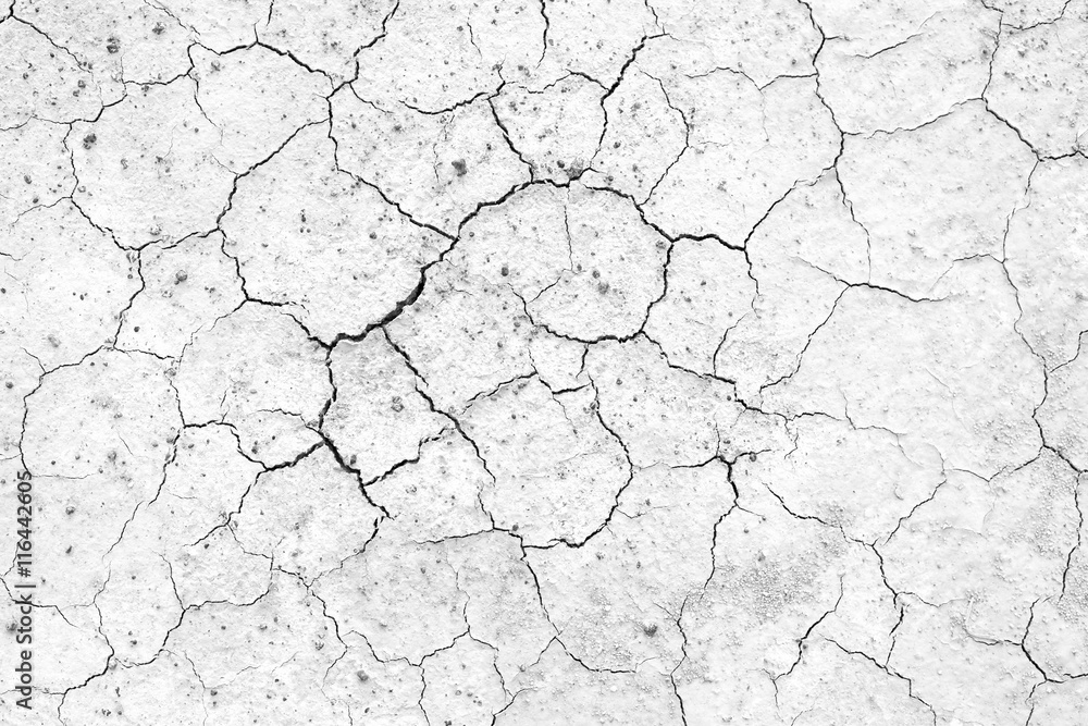 Black and white, Crack soil texture background