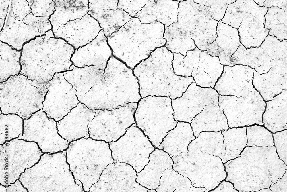 Black and white, Crack soil texture background Black and white, Crack soil texture background