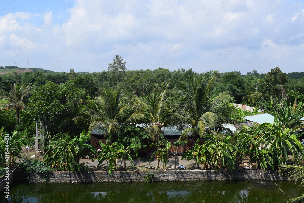 Vietnamese countryside with house next to the fishing pond