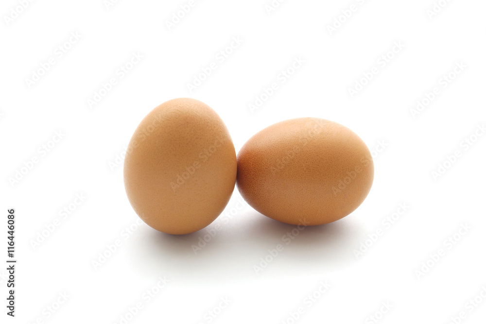 close up egg isolated on white background close up egg isolated on white background