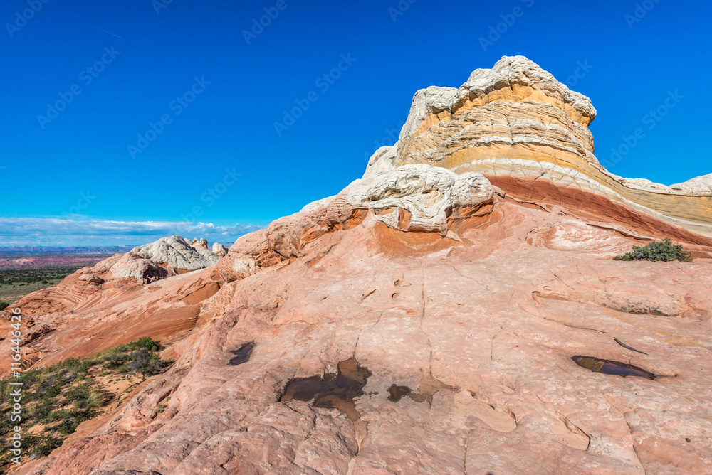 Fototapeta premium White Pocker, Arizona