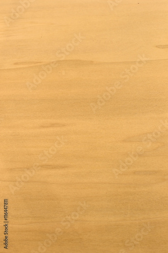 This is a closeup photograph of a Wood panel background