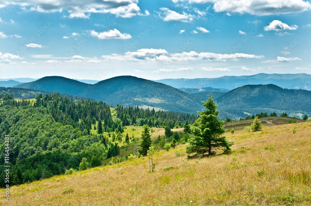 Obraz premium Summer landscape in mountains