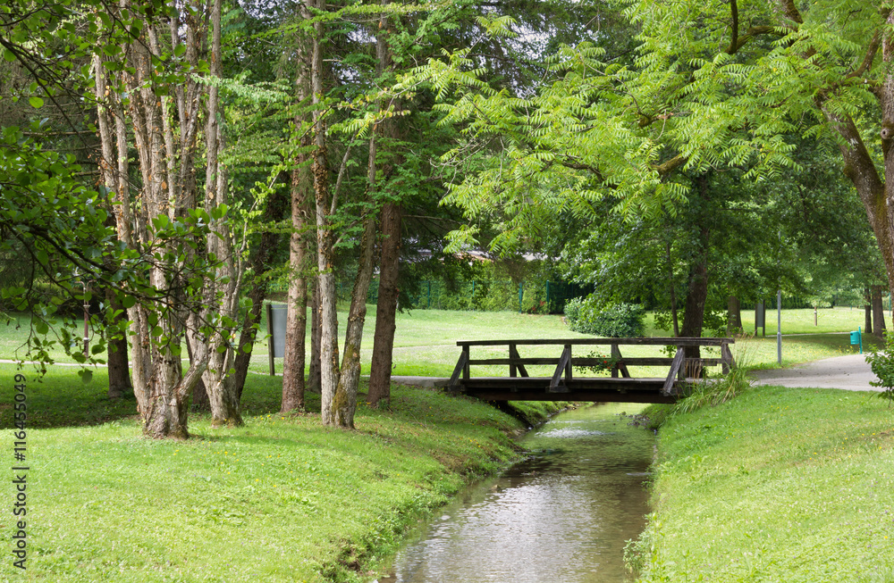 Brook Crossing a Park