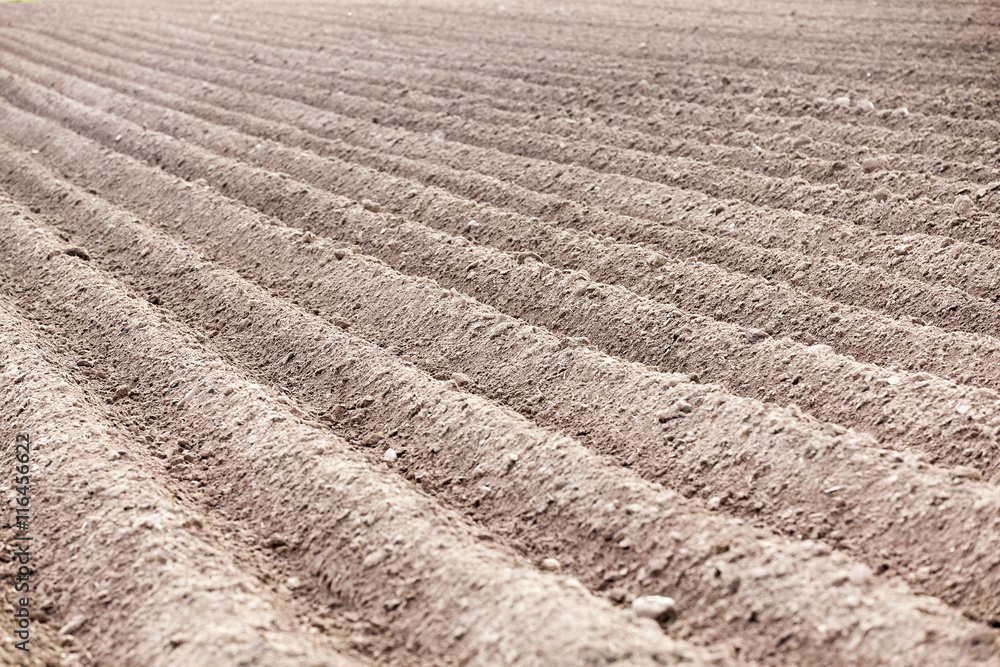 plowed field, furrows plowed field, furrows