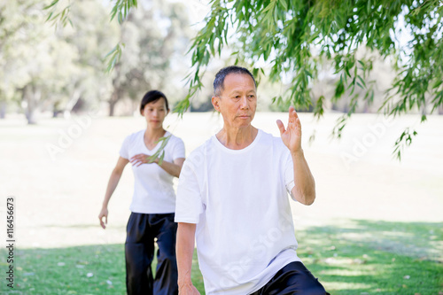 People practicing thai chi in park