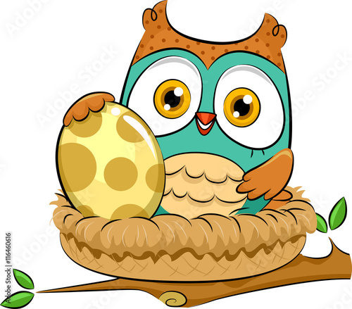 Owl Nest
