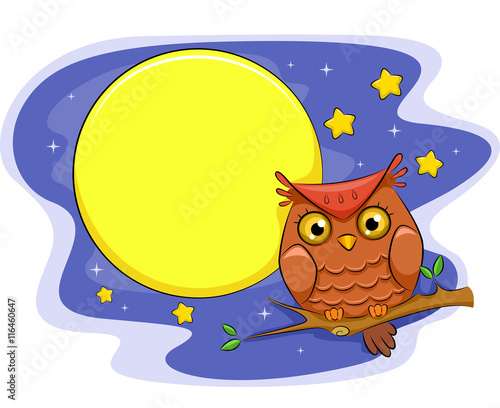 Night Owl