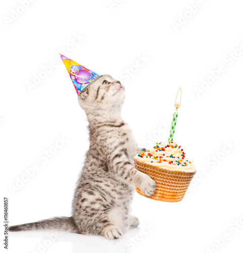 Fototapeta Naklejka Na Ścianę i Meble -  tabby cat in birthday hat holding cake with candles. isolated on wite