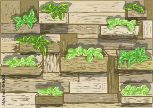 garden wall