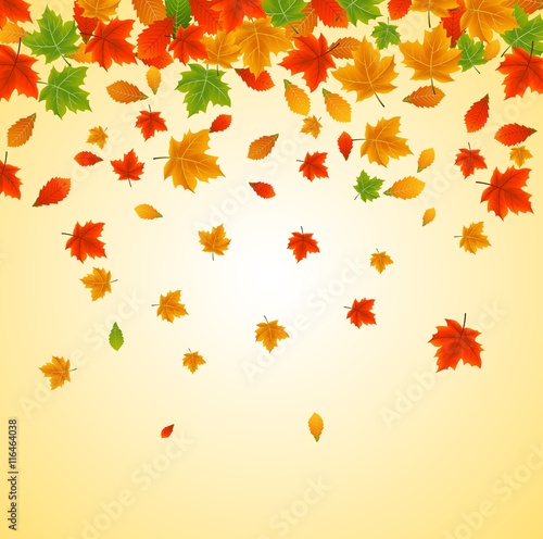 Background with maple autumn leaves
