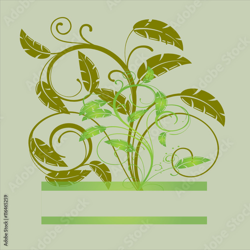 barre floral plante