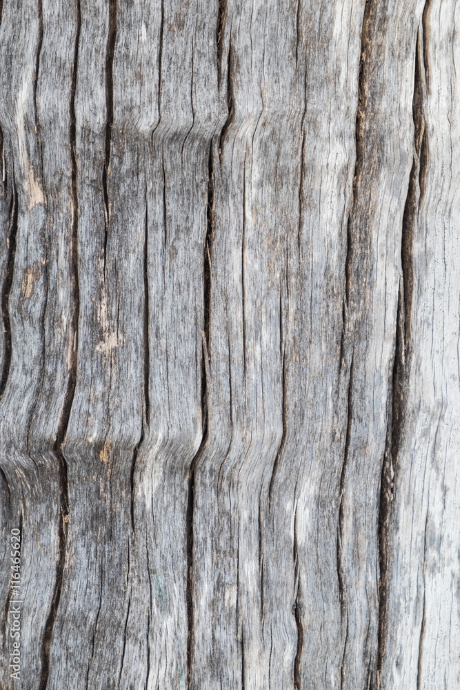 Close up natural old wood texture background with cracks