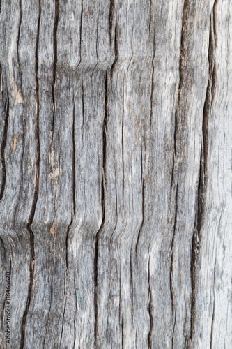 Close up natural old wood texture background with cracks