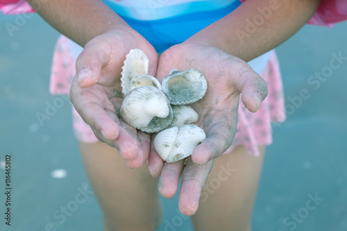 Close up of a little girl holding sea shells in her hands