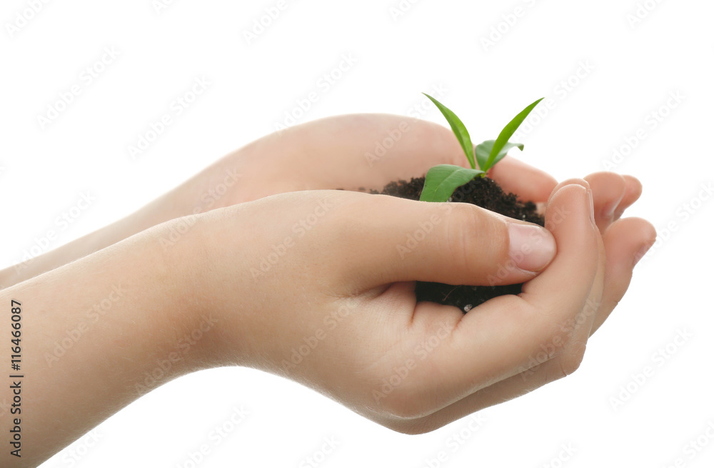 Child holding soil and plant isolated on white Child holding soil and plant isolated on white