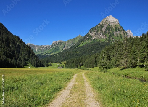 Trail in the Oberseetal and Mt Brunnelistock