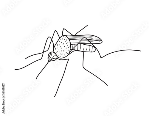 Mosquito sketch hand drawing, doodle style. Vector illustration