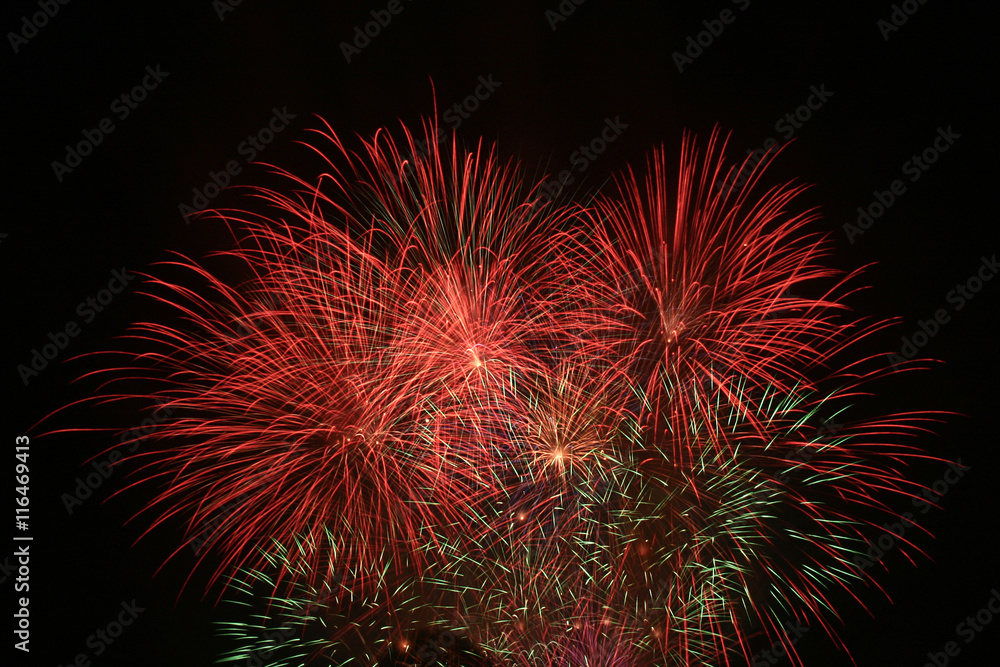 Celebration fireworks. Fireworks light up the sky. Celebration fireworks. Fireworks light up the sky.
