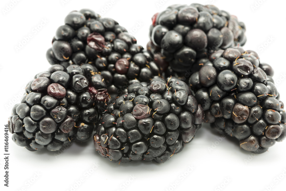 ripe blackberries ripe blackberries