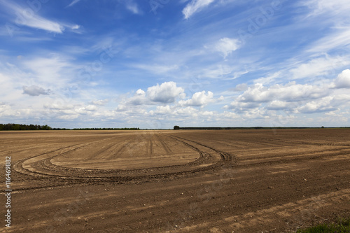 empty agricultural field