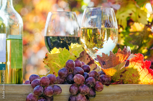 Genuss in der Pfalz: Weinprobe im Herbst, Rotwein, Weißwein, Trauben  :) photo