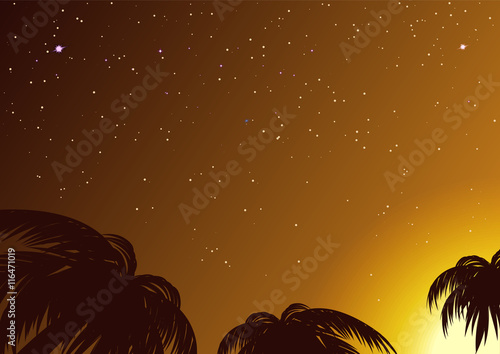 Starry sky amidst tropical palms