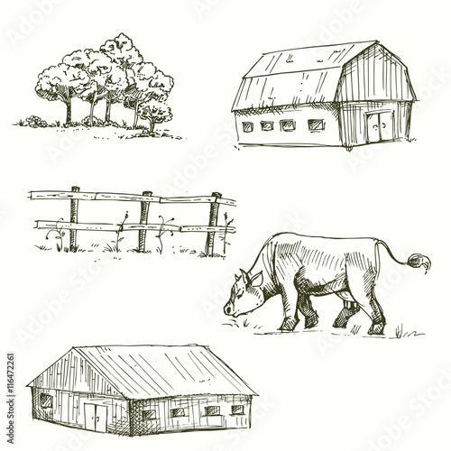 Hand drawn vector illustration of farm, cow, fence, trees, grass. sketch. Vector eps 8