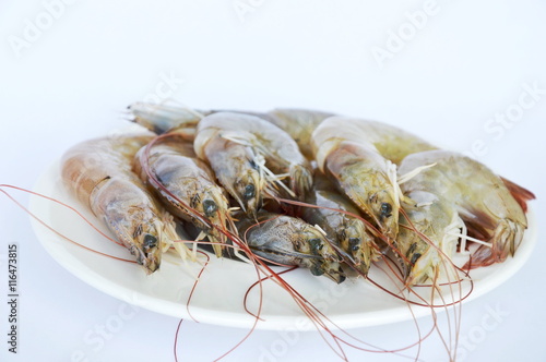 raw prawn on dish in white background