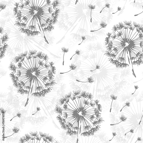 Fototapeta Naklejka Na Ścianę i Meble -  Seamless dandelion pattern, vector seamless background