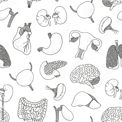 Seamless background with human organs