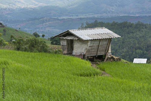 Cottage on step rice's field at mountains in Chiangmai province,Thailand