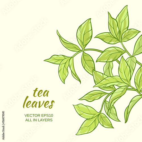 tea leaves background