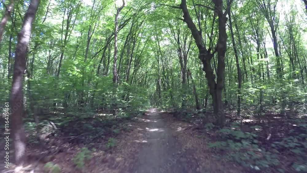 Riding along the forest road on a bicycle, raw from Gopro Riding along the forest road on a bicycle, raw from Gopro