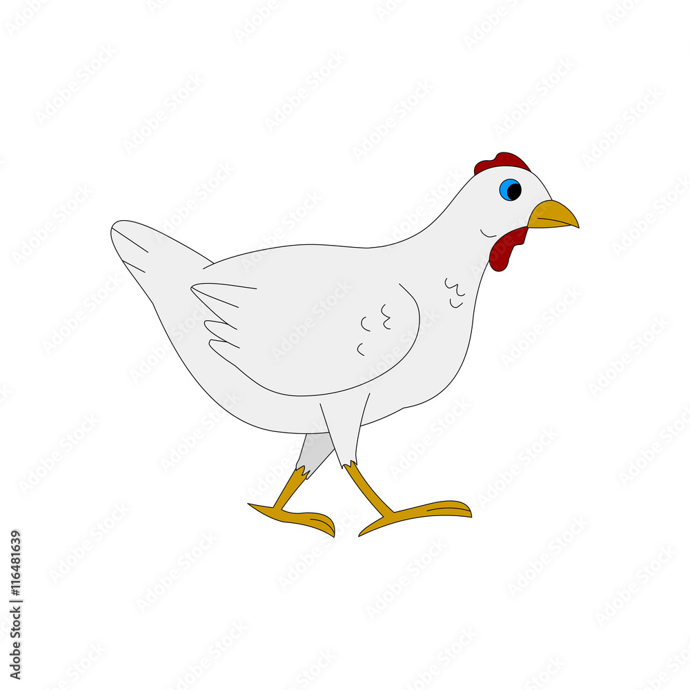 white chicken white chicken