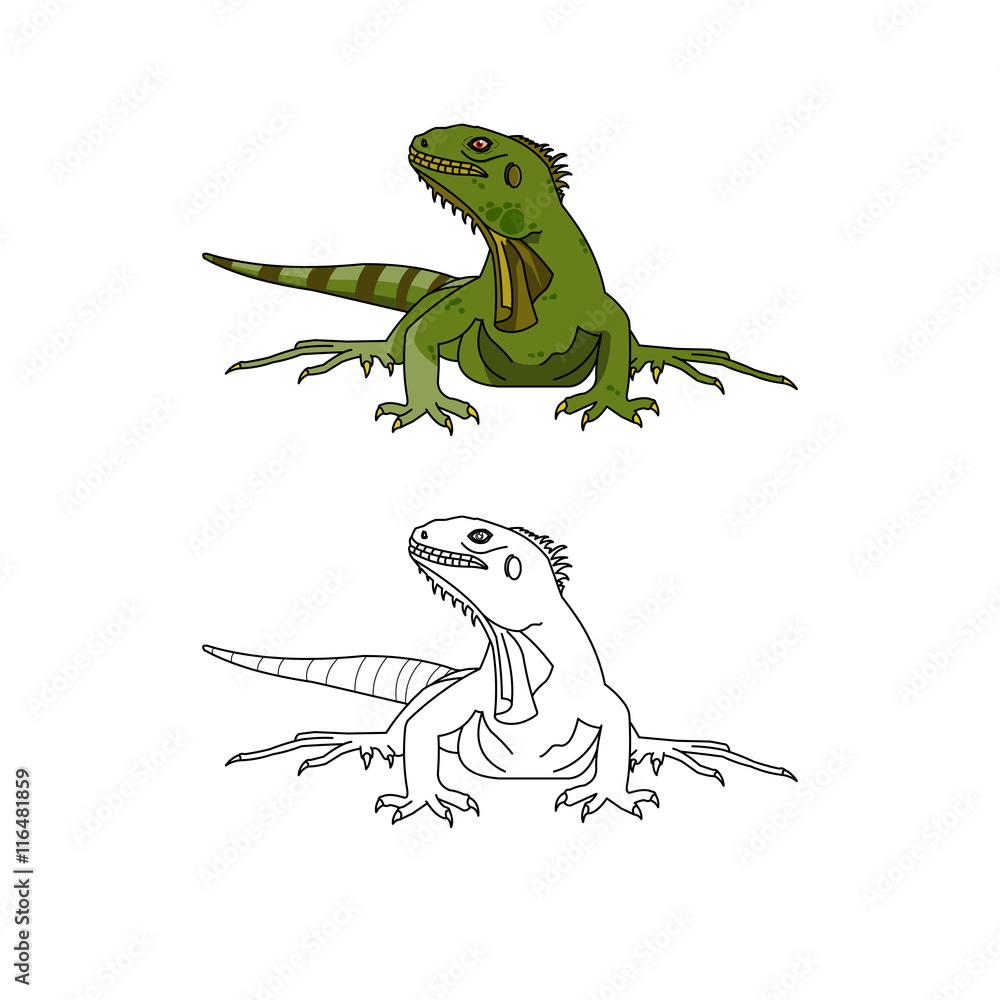 Naklejka premium iguana clip art